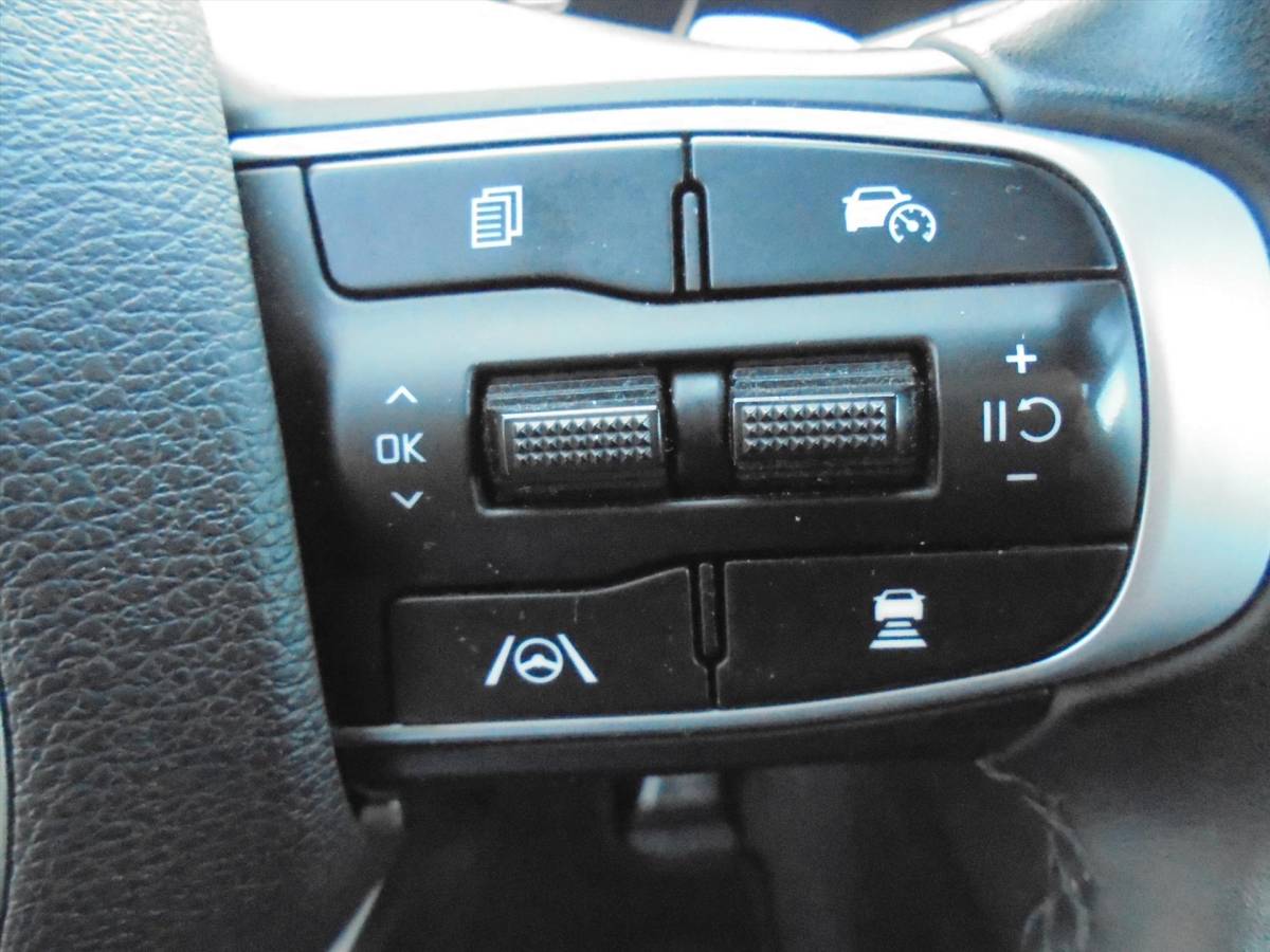 Kia Sportage Kia Sportage 1.6 T-GDi 265PK PLUGIN HYBRIDE GT-PLUSLINE PANODAK