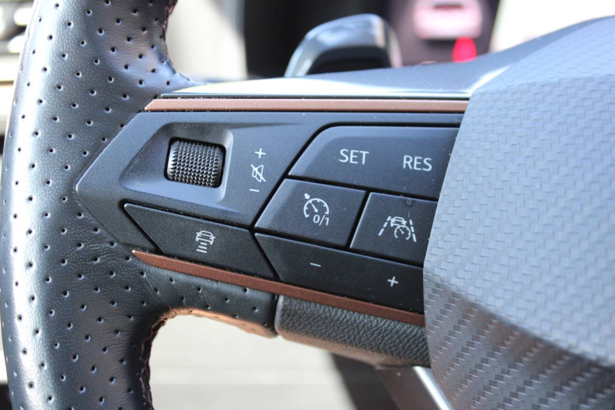 CUPRA Formentor CUPRA Formentor 1.4 e-Hybrid Business **VERKOCHT!!