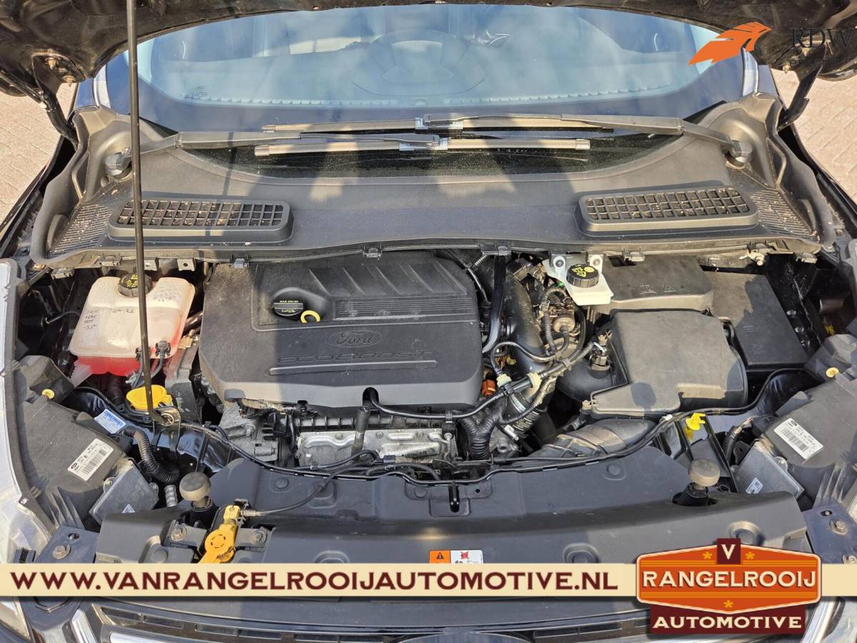 Ford Kuga Ford Kuga 1.5 Titanium, trekh., xenon, stoelverw., clima, cruise, 19″ lmv