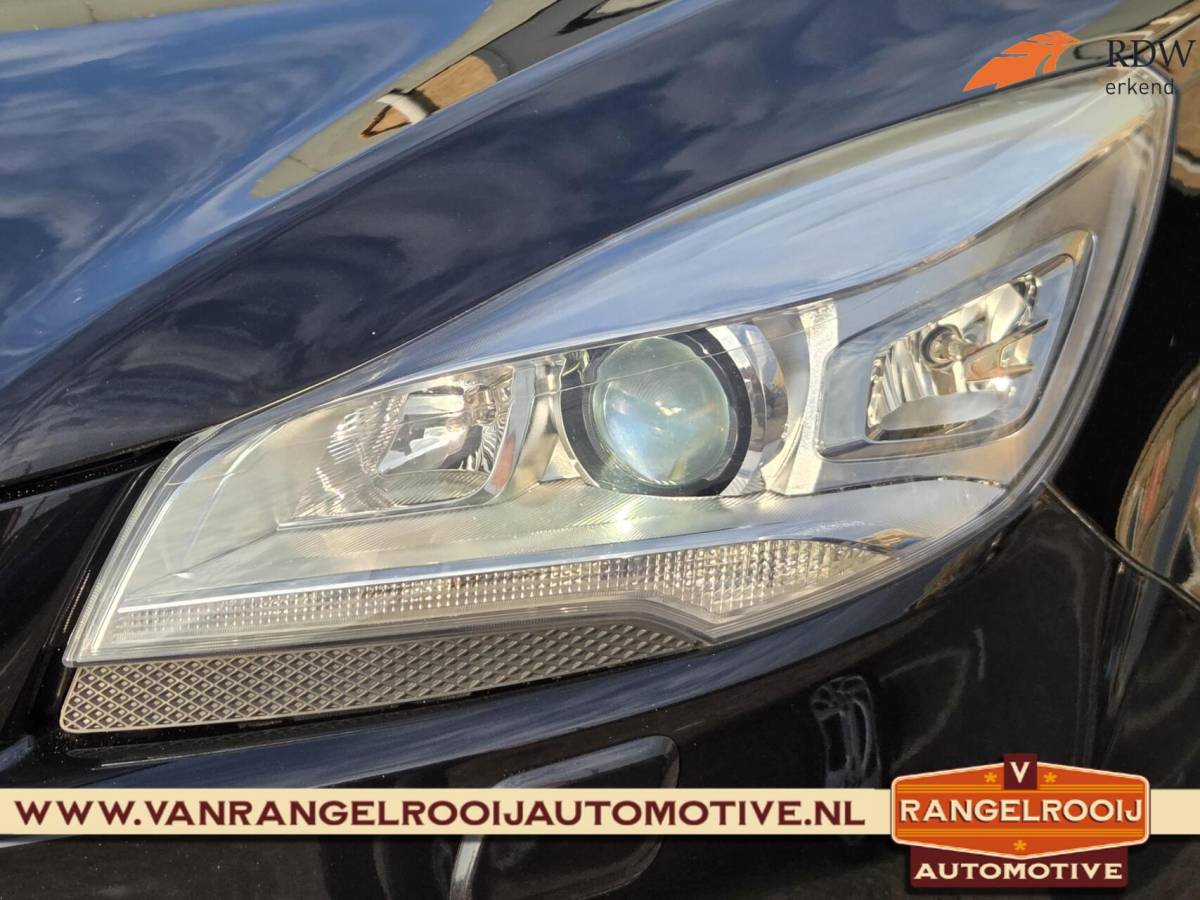 Ford Kuga Ford Kuga 1.5 Titanium, trekh., xenon, stoelverw., clima, cruise, 19″ lmv
