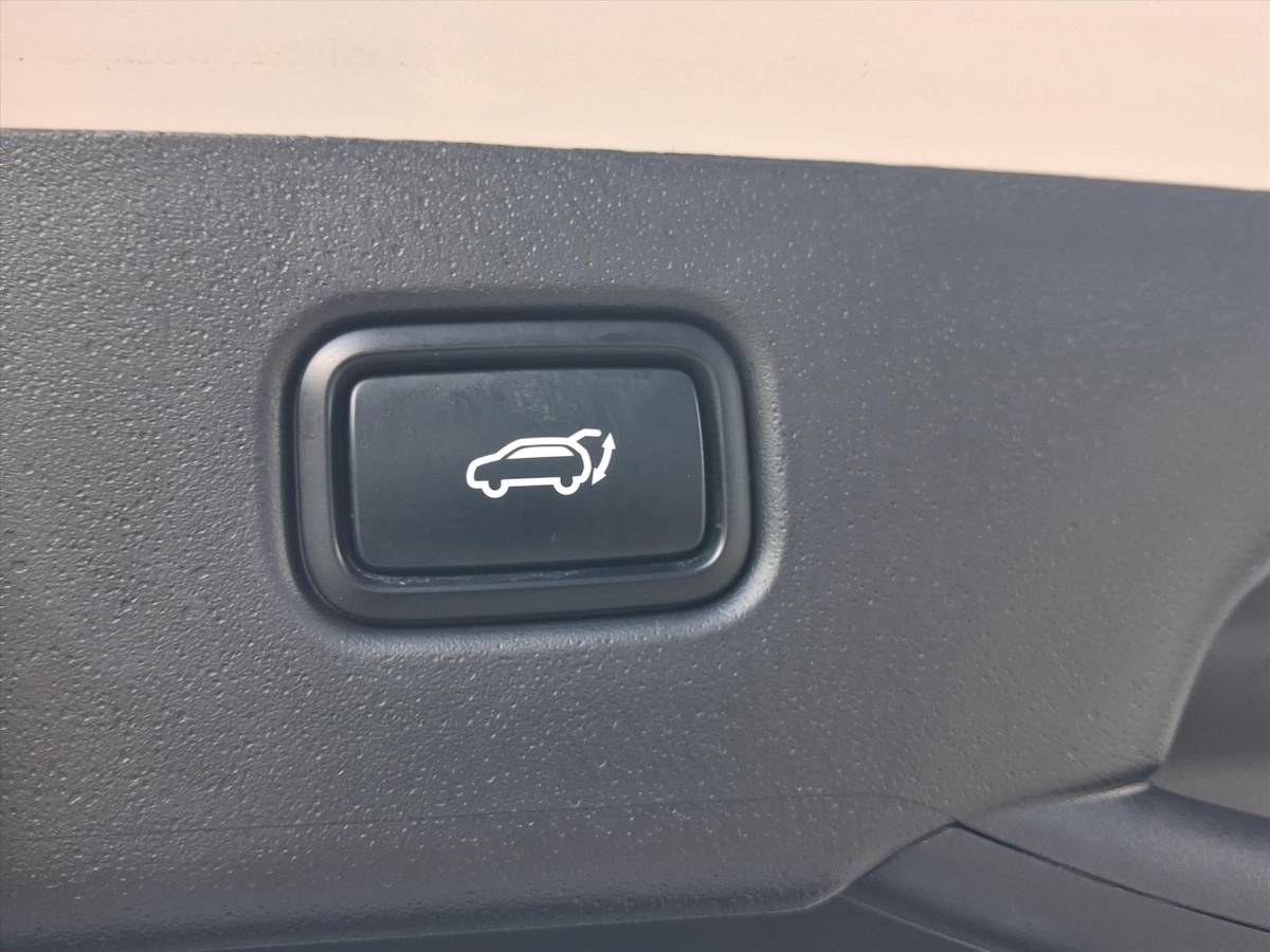 Kia Niro KIA Niro 1.6 GDi Hybrid 141pk DCT6 ExecutiveLine