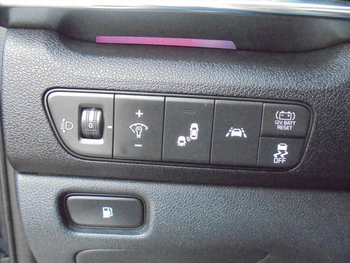 Kia Niro Kia Niro 1.6 GDi HYBRIDE EXECUTIVELINE ZEER LUXE TREKHAAK