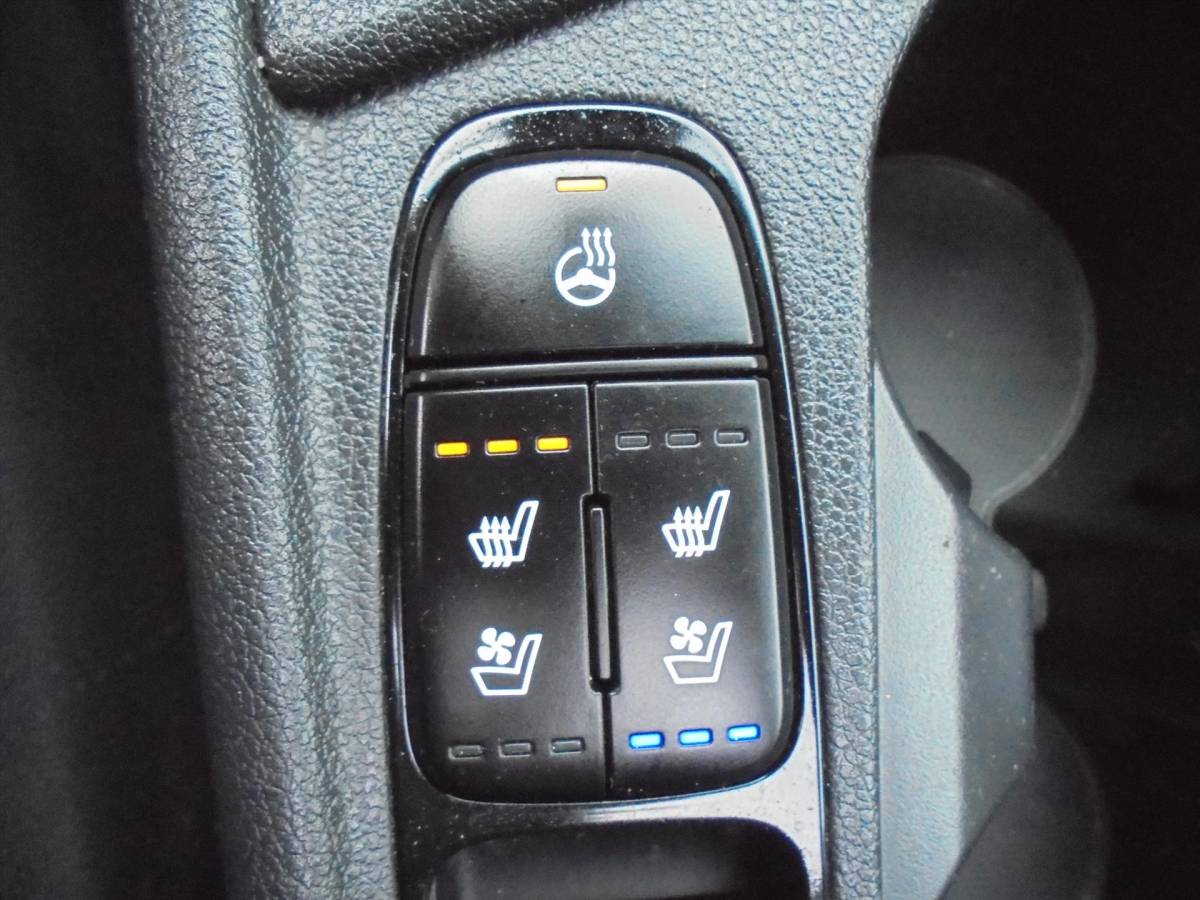 Kia Niro Kia Niro 1.6 GDi HYBRIDE EXECUTIVELINE ZEER LUXE TREKHAAK