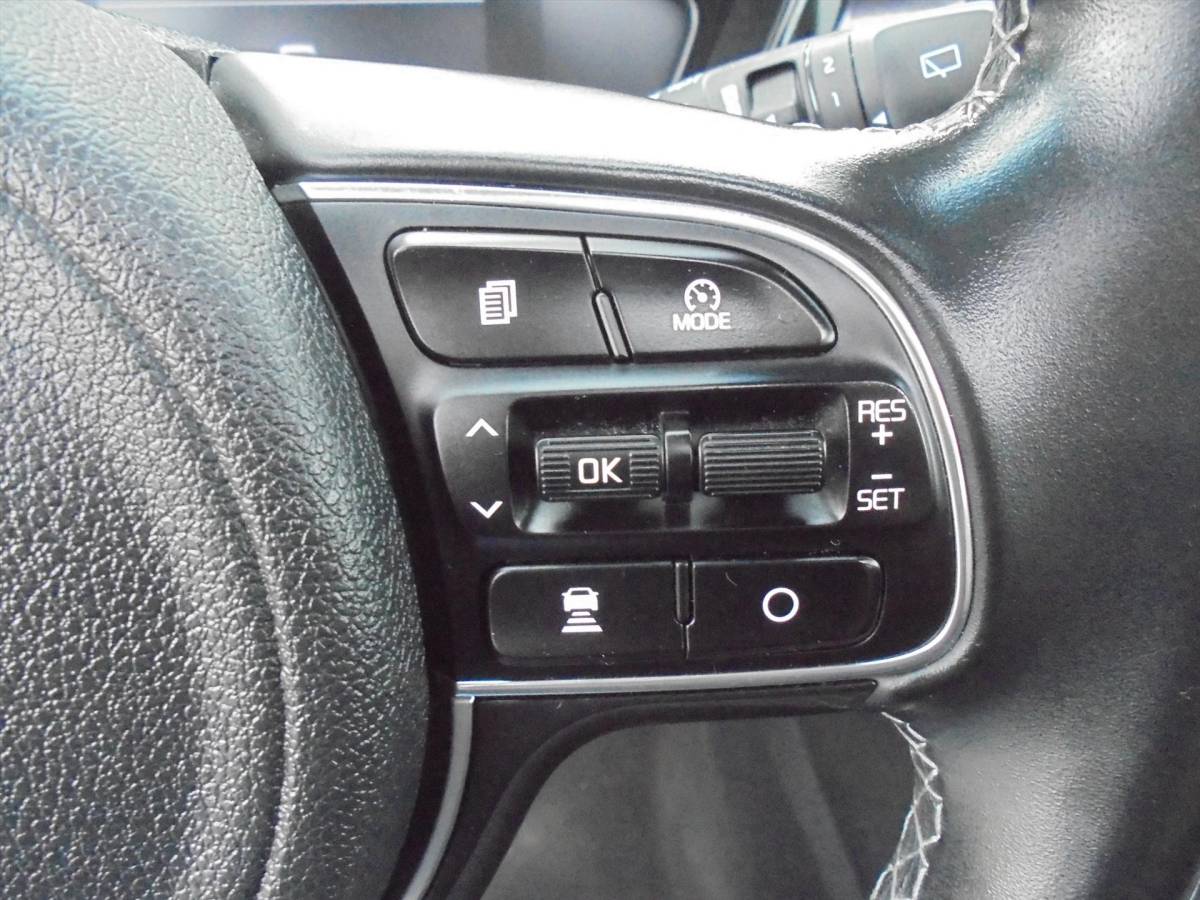 Kia Niro Kia Niro 1.6 GDi HYBRIDE EXECUTIVELINE ZEER LUXE TREKHAAK