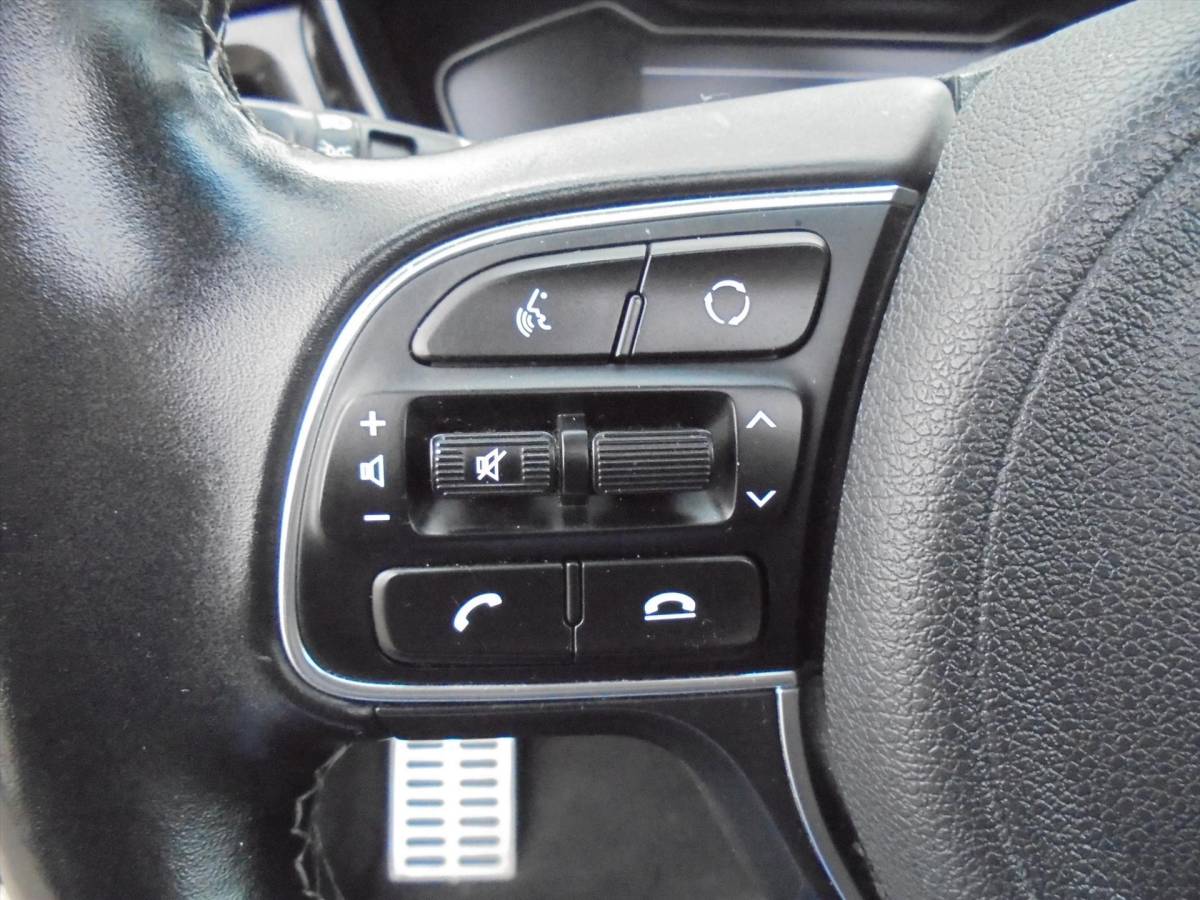 Kia Niro Kia Niro 1.6 GDi HYBRIDE EXECUTIVELINE ZEER LUXE TREKHAAK