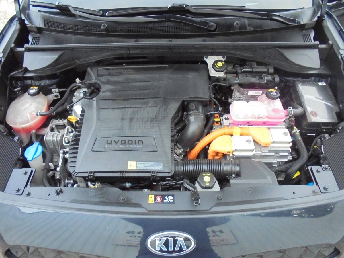 Kia Niro Kia Niro 1.6 GDi HYBRIDE EXECUTIVELINE ZEER LUXE TREKHAAK