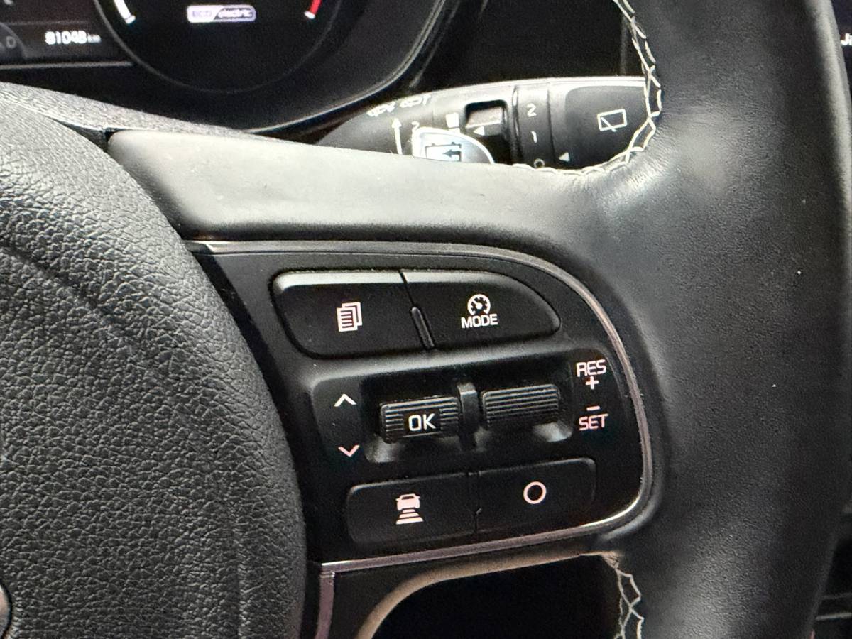Kia e-Niro Kia e-Niro DynamicPlusLine 64 kWh SOH 96,1% | Warmtepomp | Schuif/Kanteldak | Camera | Stoel/Stuurverwarming | Carplay&Android