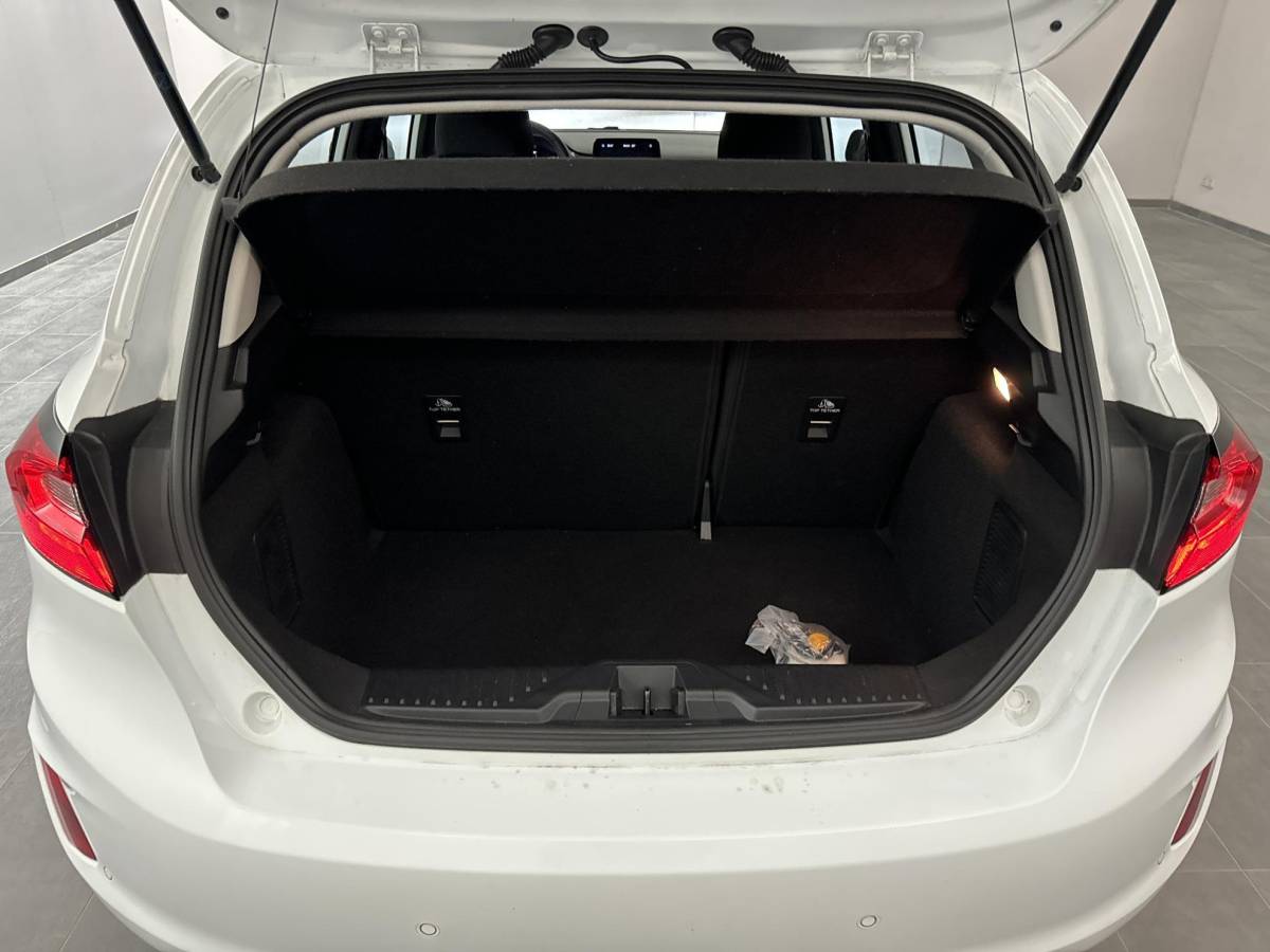 Ford Fiesta Ford Fiesta 1.0 EcoBoost Titanium Winter Pack | Adaptieve Cruise Control | Lichtmetalen Velgen