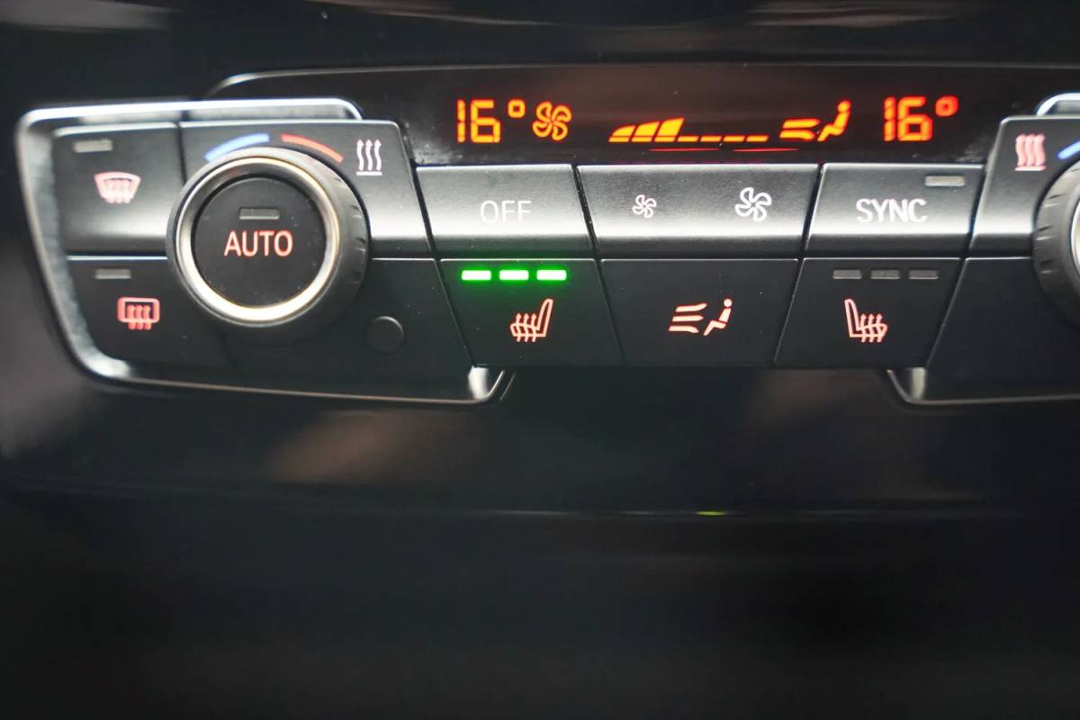 BMW X1 BMW X1 xDrive25e Executive [ Clima Achteruitrijcamera Memory Stoelverwarming Cruise ]