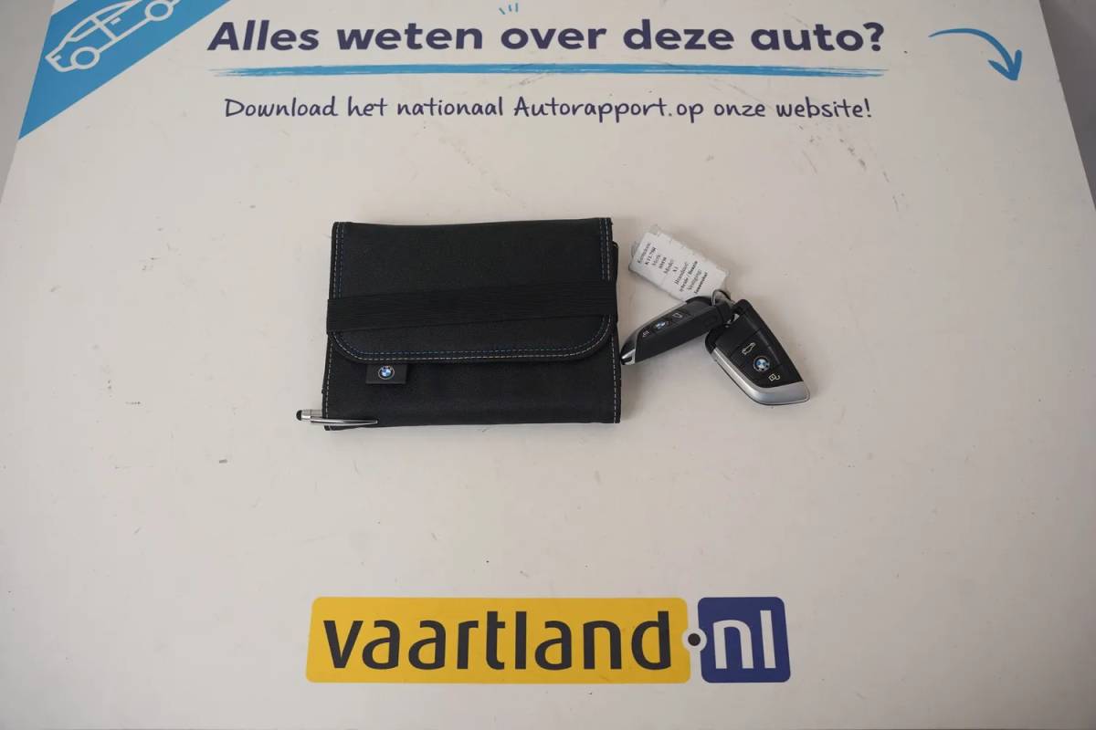 BMW X1 BMW X1 xDrive25e Executive [ Clima Achteruitrijcamera Memory Stoelverwarming Cruise ]