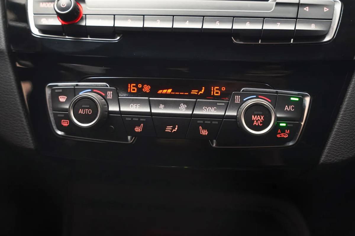 BMW X1 BMW X1 xDrive25e Executive [ Clima Achteruitrijcamera Memory Stoelverwarming Cruise ]