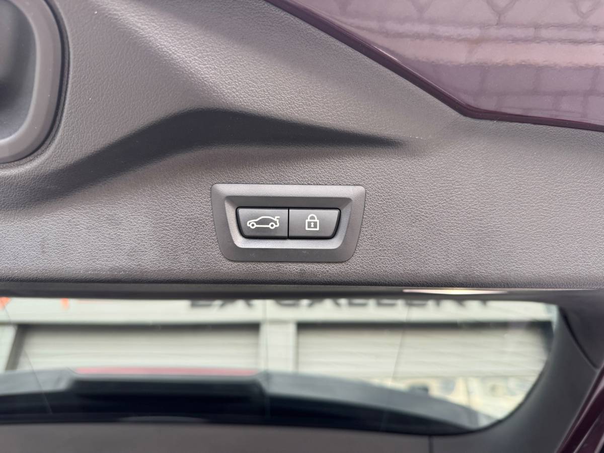 BMW X5 BMW X5 XDrive45e High Executive BOMVOL NAP Softclose Crystal