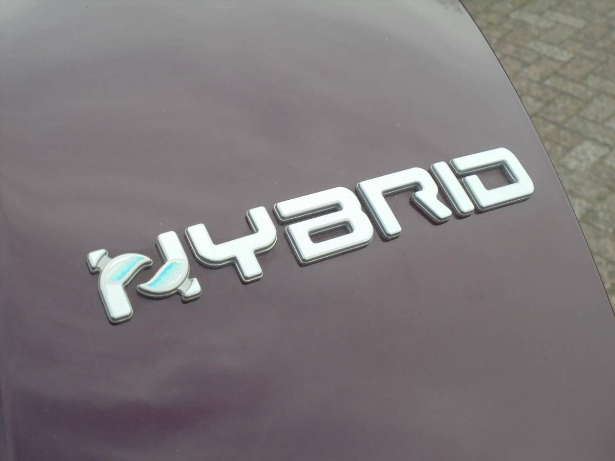 Fiat 500 Fiat 500 1.0 70PK HYBRID DOLCEVITA PANO LEUKE KLEUR