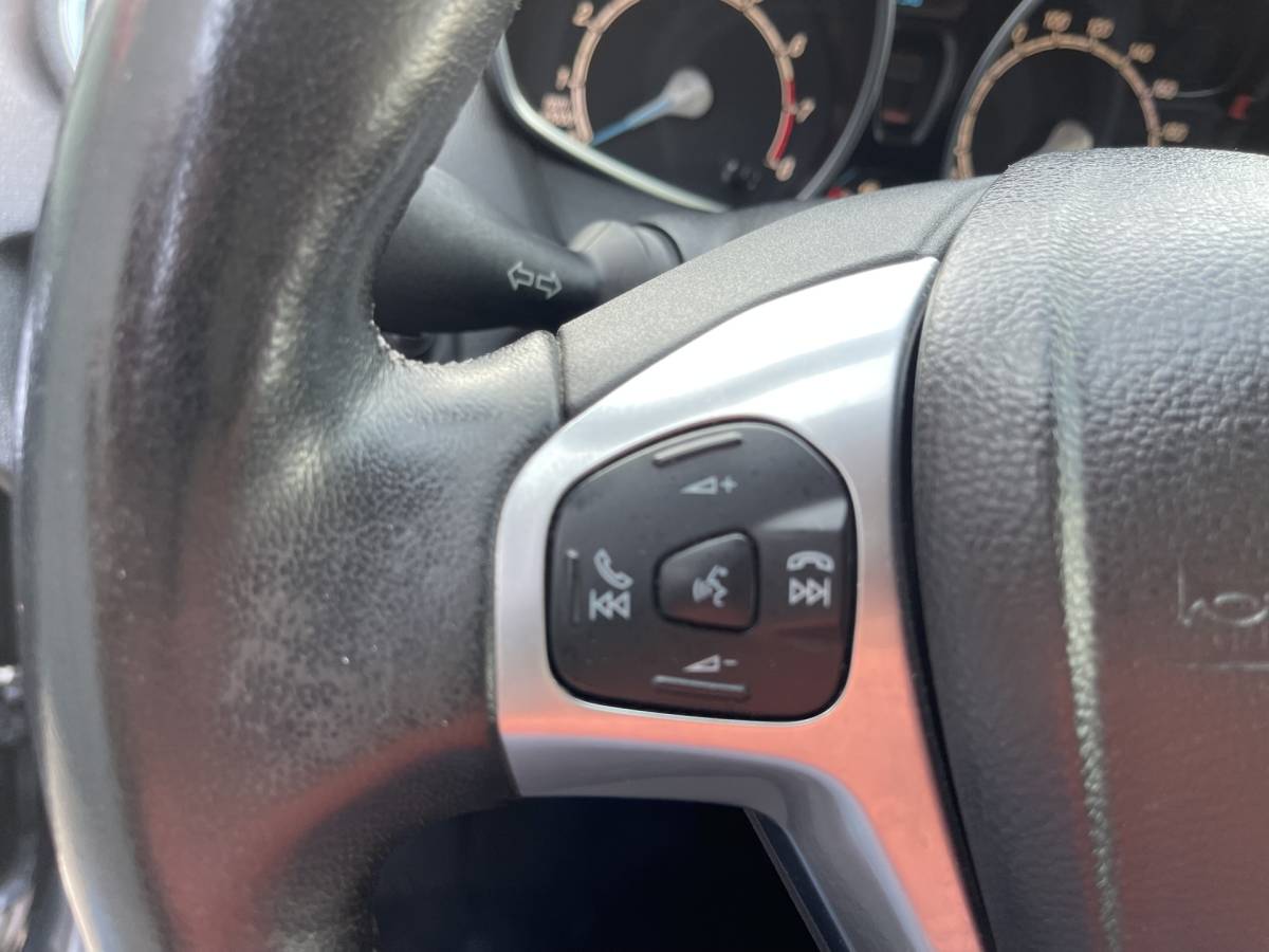 Ford Fiesta Ford Fiesta 1.0 EcoBoost Sport Airco.Cruise.Lm.velgen.Pdc.Miltec Uitlaat.Audio