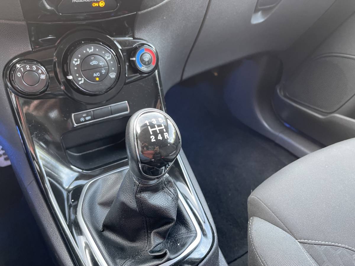 Ford Fiesta Ford Fiesta 1.0 EcoBoost Sport Airco.Cruise.Lm.velgen.Pdc.Miltec Uitlaat.Audio