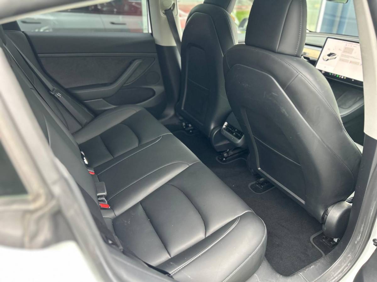 Tesla Model 3 Tesla Model 3 Standard RWD Plus 60 kWh |NAP|1e eigenaar|BTW|91% SOH