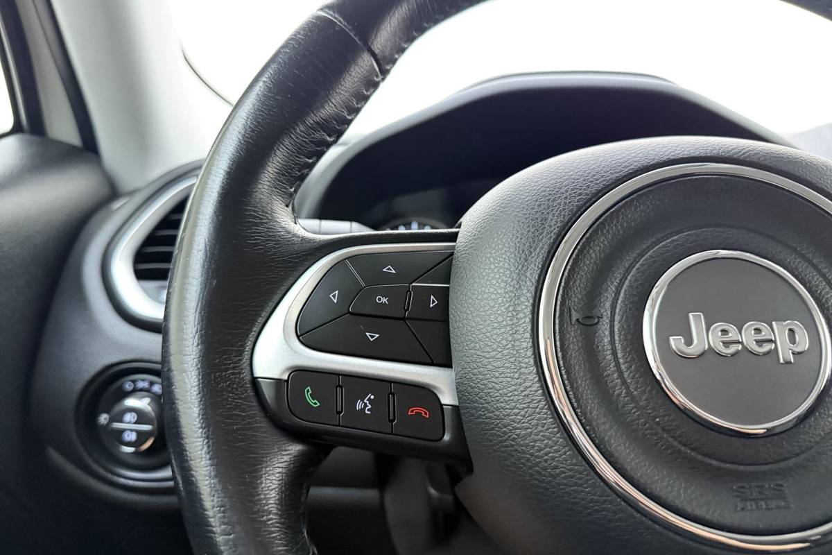 Jeep Renegade Jeep Renegade 1.6 E-Torq Longitude 110pk | Airco | Cruise Control | Audio | Lichtmetalen Velgen | Bluetooth | Dakrails