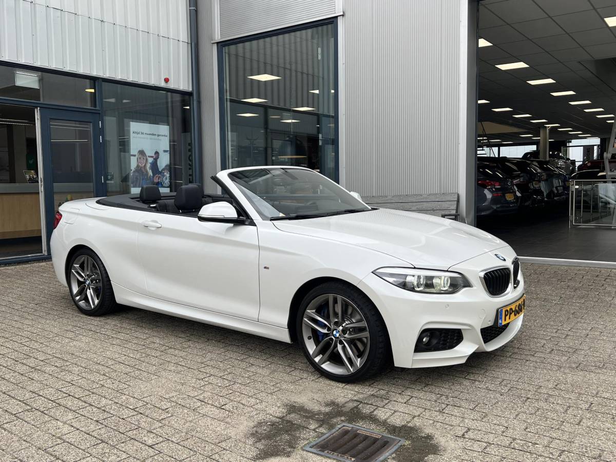 BMW 2 Serie BMW 2-serie Cabrio 220i High Executive M-Pakket / NL auto / Historie