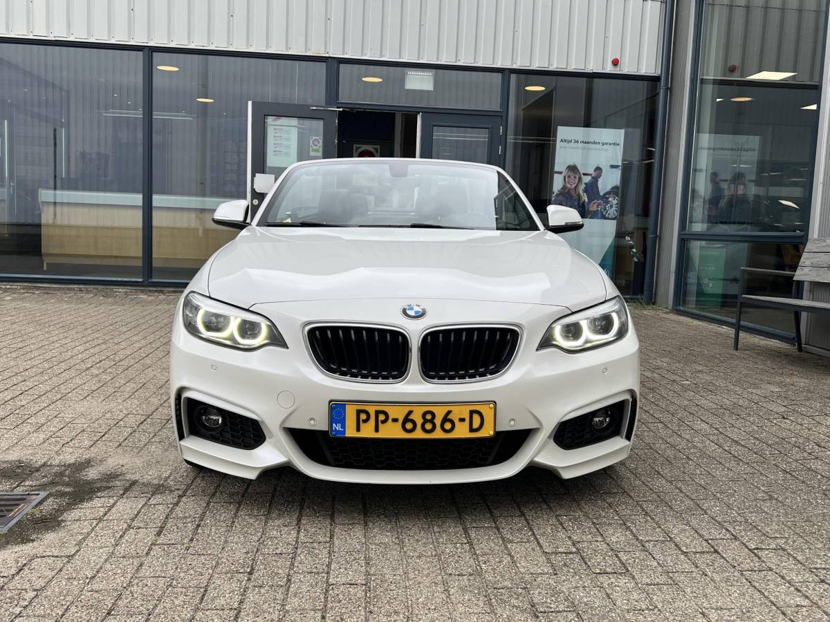 BMW 2 Serie BMW 2-serie Cabrio 220i High Executive M-Pakket / NL auto / Historie