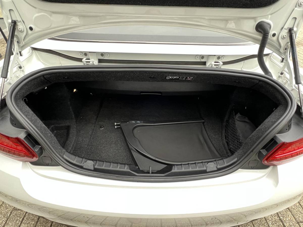 BMW 2 Serie BMW 2-serie Cabrio 220i High Executive M-Pakket / NL auto / Historie