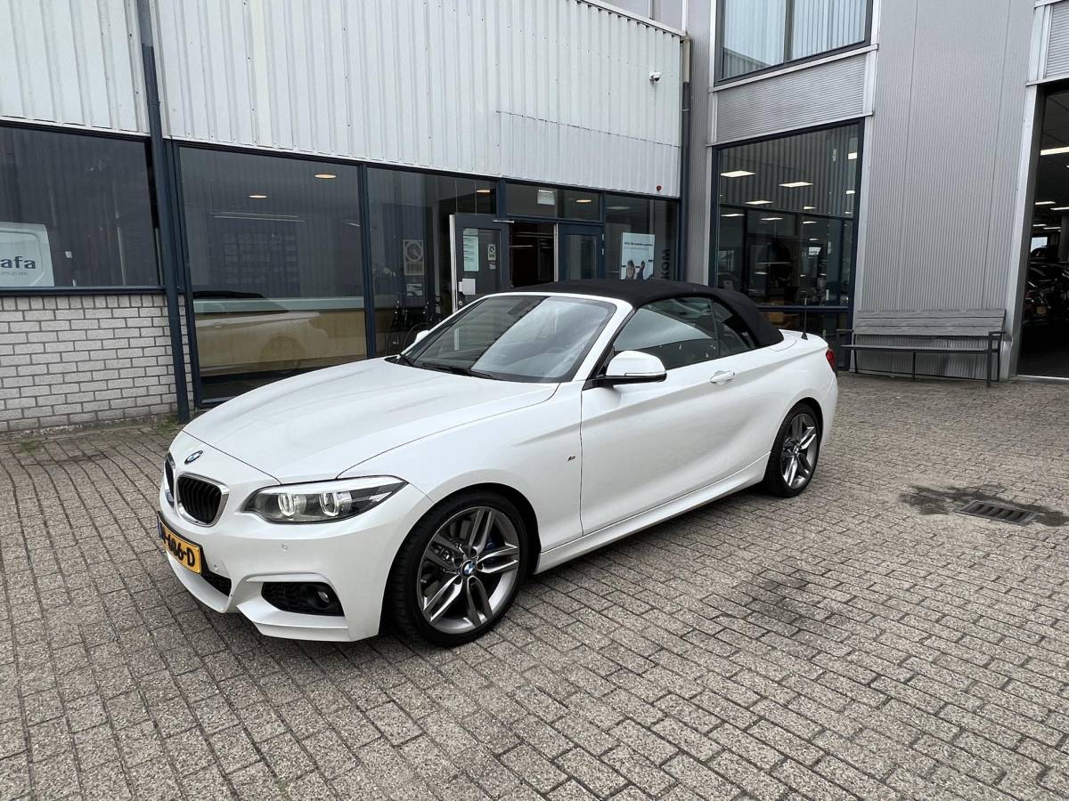 BMW 2 Serie BMW 2-serie Cabrio 220i High Executive M-Pakket / NL auto / Historie
