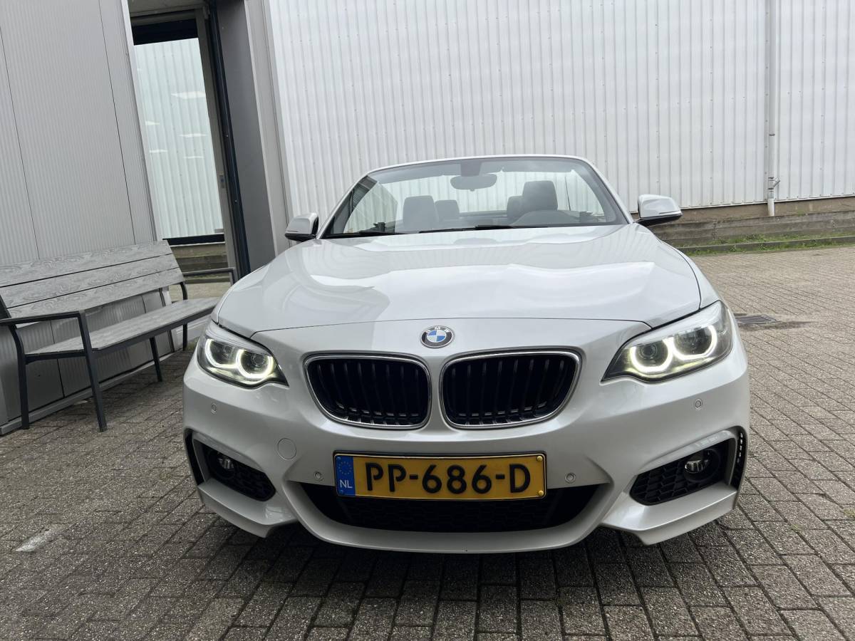 BMW 2 Serie BMW 2-serie Cabrio 220i High Executive M-Pakket / NL auto / Historie