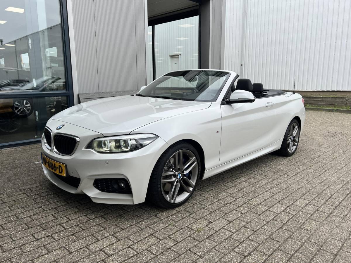 BMW 2 Serie BMW 2-serie Cabrio 220i High Executive M-Pakket / NL auto / Historie