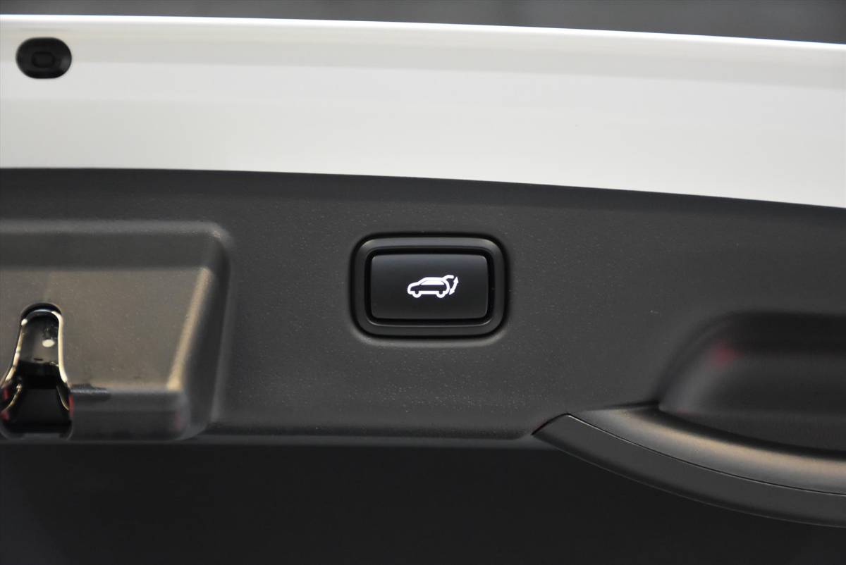 Kia Niro KIA Niro 1.6 GDi Hybrid ExecutiveLine |Trekhaak