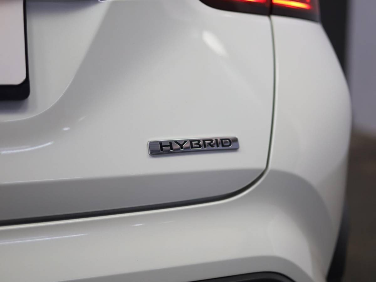 Nissan Juke Nissan Juke 1.6 Hybrid Business Premium Tekna | Bose Audio | Parelmoer lak | Stuur en Stoelverwarming | 360 Camera