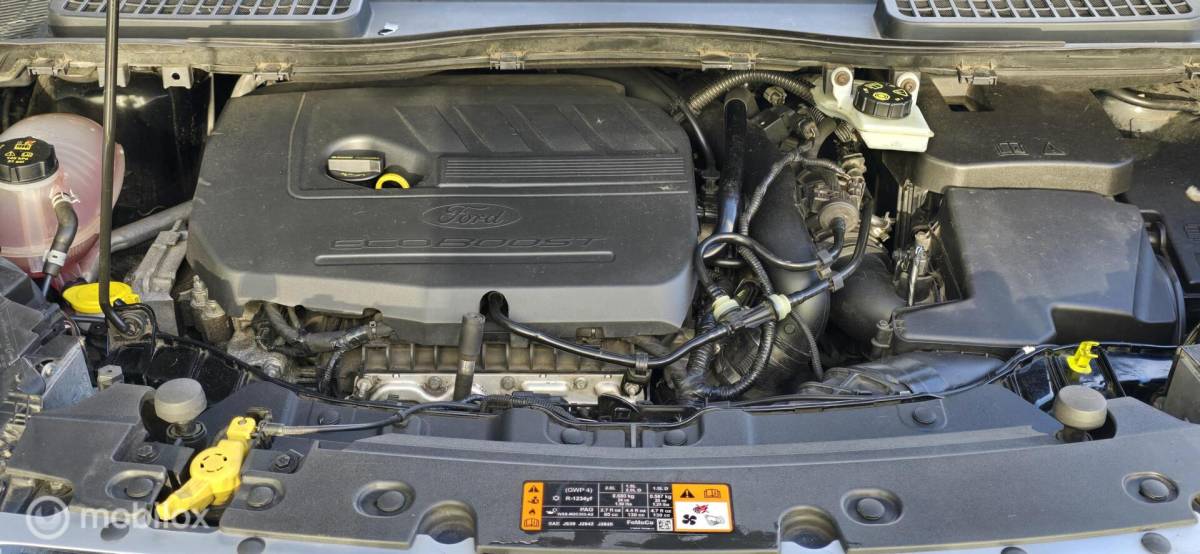 Ford Kuga Ford Kuga 1.5 EcoBoost ST Line