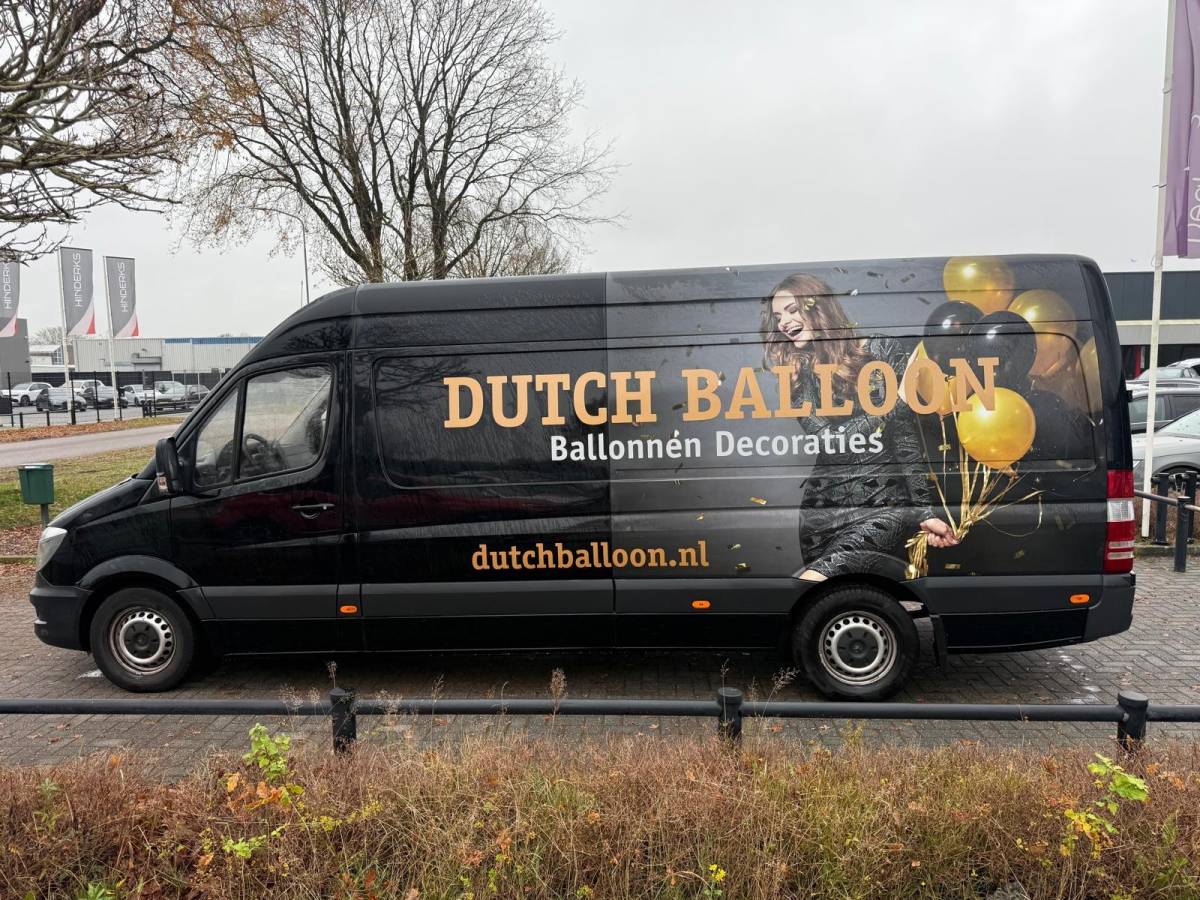Mercedes-Benz Sprinter Mercedes-Benz Sprinter 313 2.2 CDI 432 L4H3