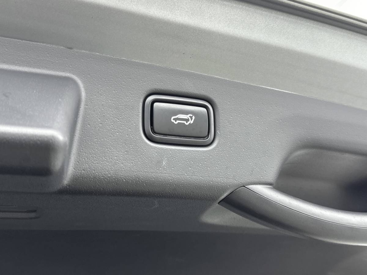 Kia Niro Kia Niro 1.6 GDi Hybrid ExecutiveLine // DEALERONDERHOUDEN // TREKHAAK // SCHUIFDAK //