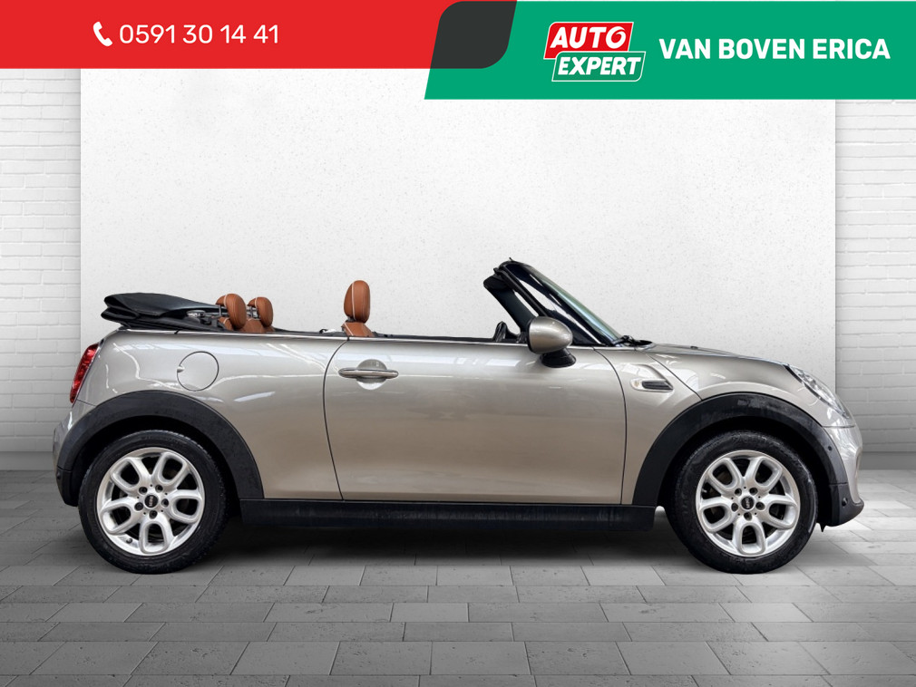 MINI Cooper Cabrio Mini Cabrio Cooper Chili Leder Cruise Clima Navi Pdc
