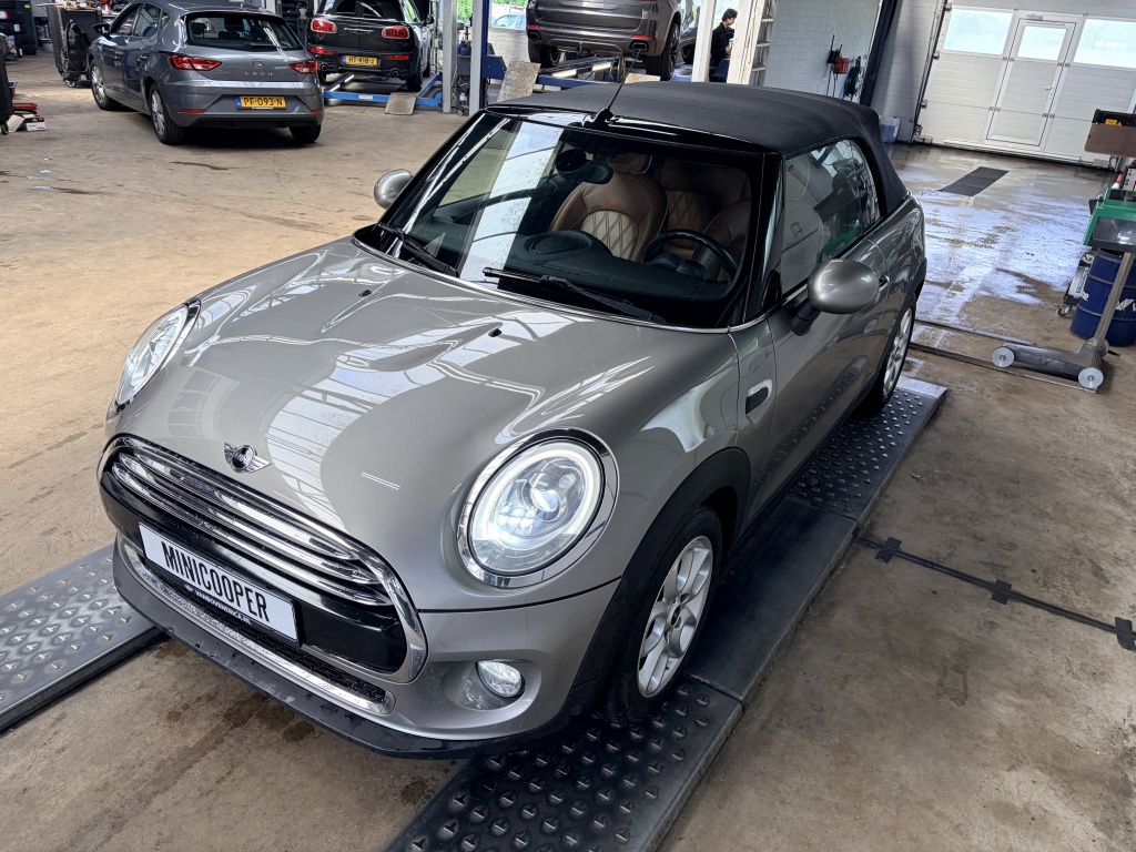 MINI Cooper Cabrio Mini Cabrio Cooper Chili Leder Cruise Clima Navi Pdc
