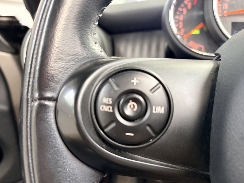 MINI Cooper Cabrio Mini Cabrio Cooper Chili Leder Cruise Clima Navi Pdc