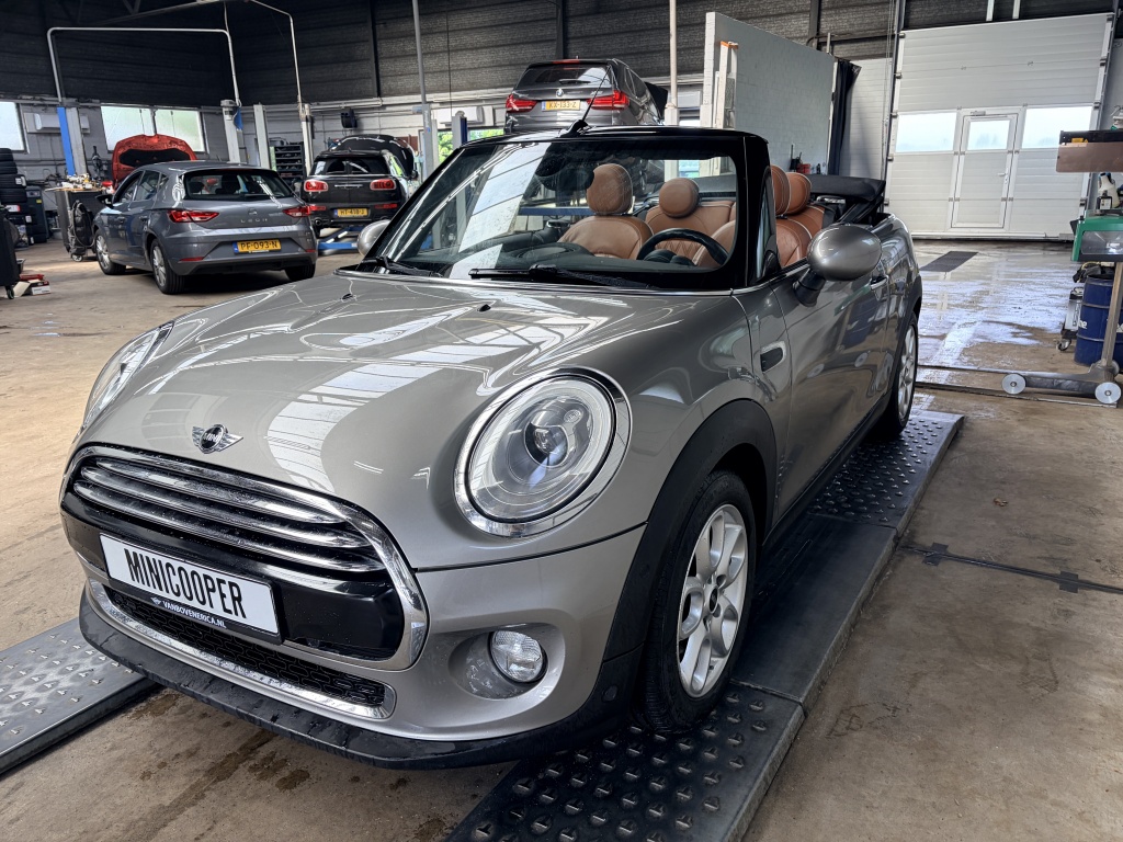 MINI Cooper Cabrio Mini Cabrio Cooper Chili Leder Cruise Clima Navi Pdc