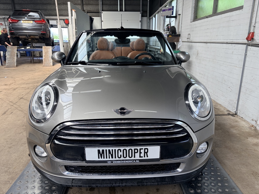 MINI Cooper Cabrio Mini Cabrio Cooper Chili Leder Cruise Clima Navi Pdc