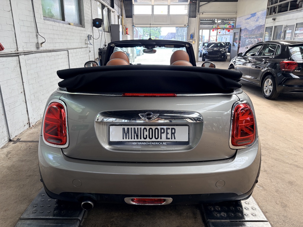 MINI Cooper Cabrio Mini Cabrio Cooper Chili Leder Cruise Clima Navi Pdc
