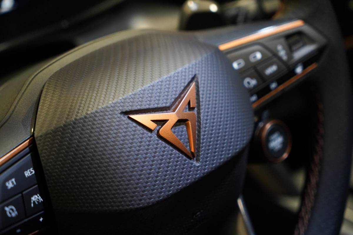 CUPRA Formentor CUPRA Formentor 2.0 TSI 4DRIVE LEDER|PANO|MEMORY|BEATS AUDIO|