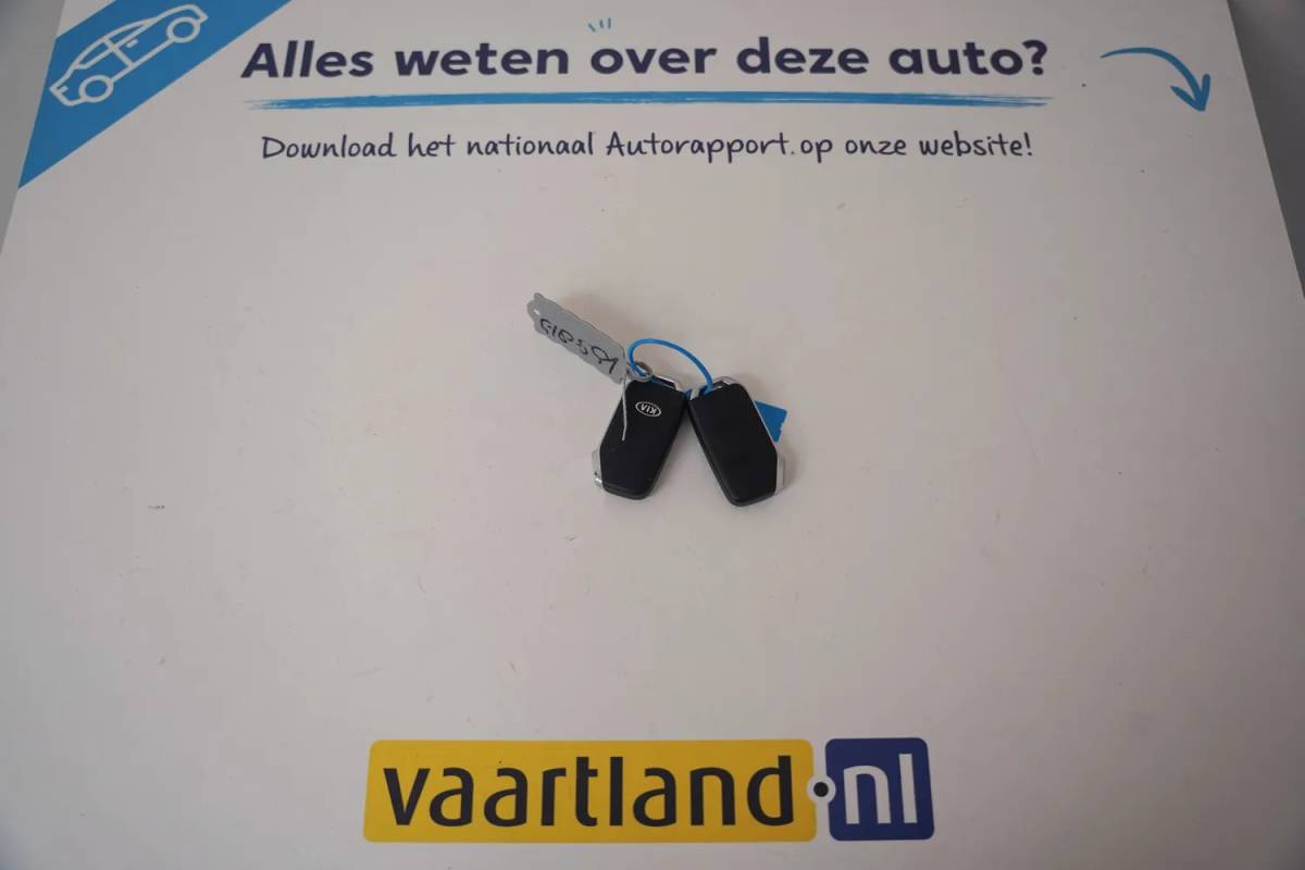 Kia Niro Kia Niro 1.6 GDi PHEV ExecutiveLine [ Leder JBL Navi Camera Apple/Android  ]