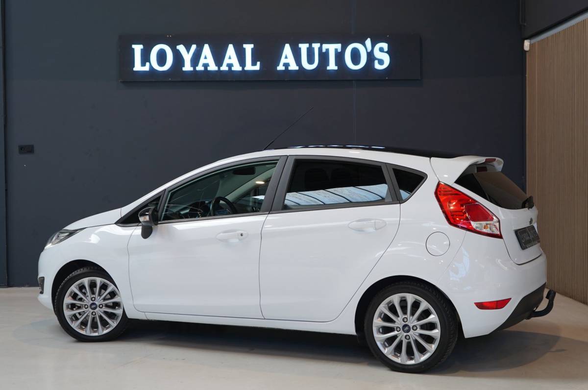 Ford Fiesta Ford Fiesta 1.0 White Edition | AIRCO | TREKHAAK | ELEK.RAMEN | NAP |APK.