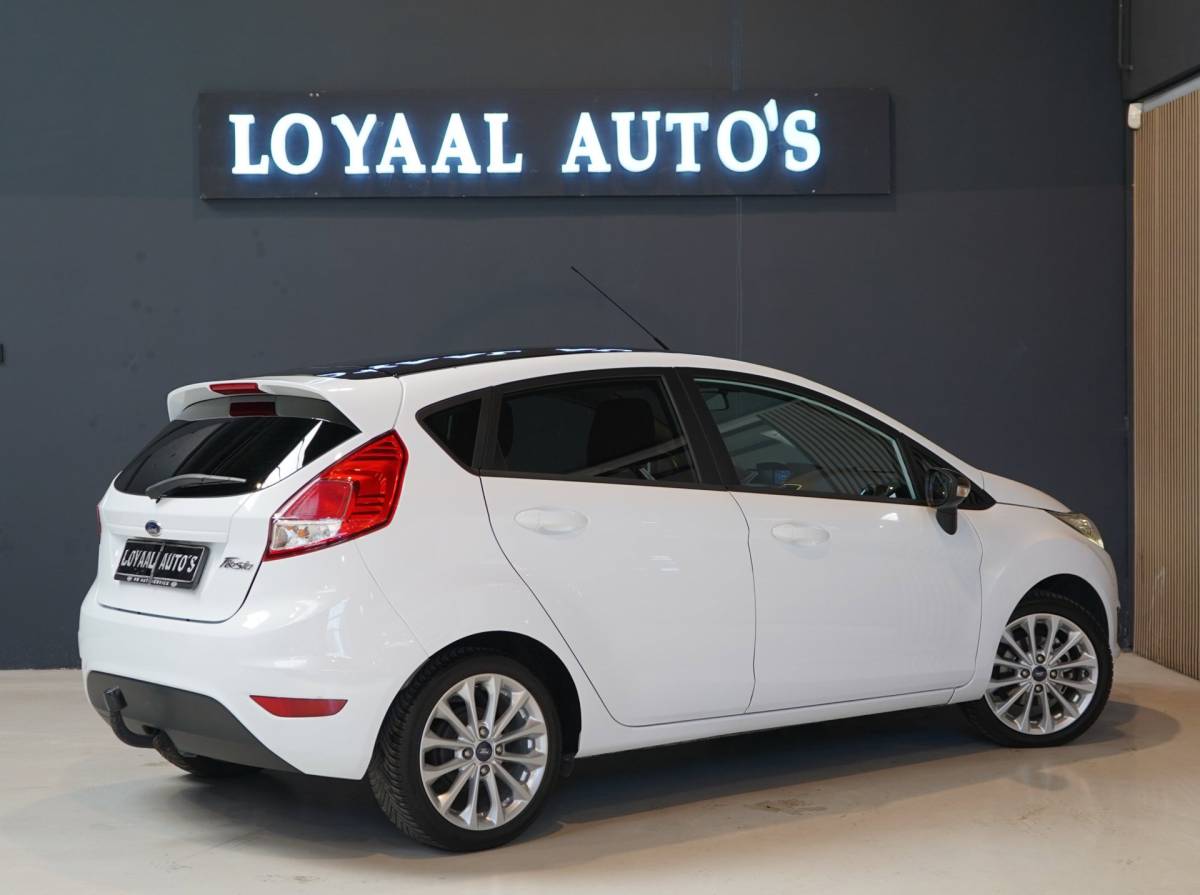 Ford Fiesta Ford Fiesta 1.0 White Edition | AIRCO | TREKHAAK | ELEK.RAMEN | NAP |APK.