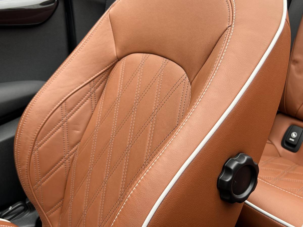 MINI Cooper S Cabrio MINI Cabrio 2.0 Cooper S Chili Serious Business | Leder/Cruise Adaptief/Keyless