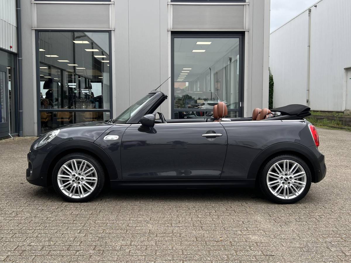 MINI Cooper S Cabrio MINI Cabrio 2.0 Cooper S Chili Serious Business | Leder/Cruise Adaptief/Keyless