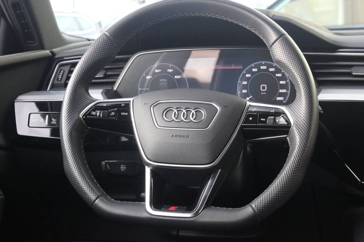 Audi e-tron Audi E-tron 50 quattro S edition S-Line | Trekhaak | Siambeige
