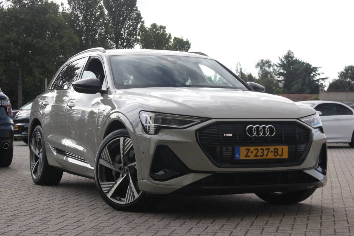 Audi e-tron Audi E-tron 50 quattro S edition S-Line | Trekhaak | Siambeige