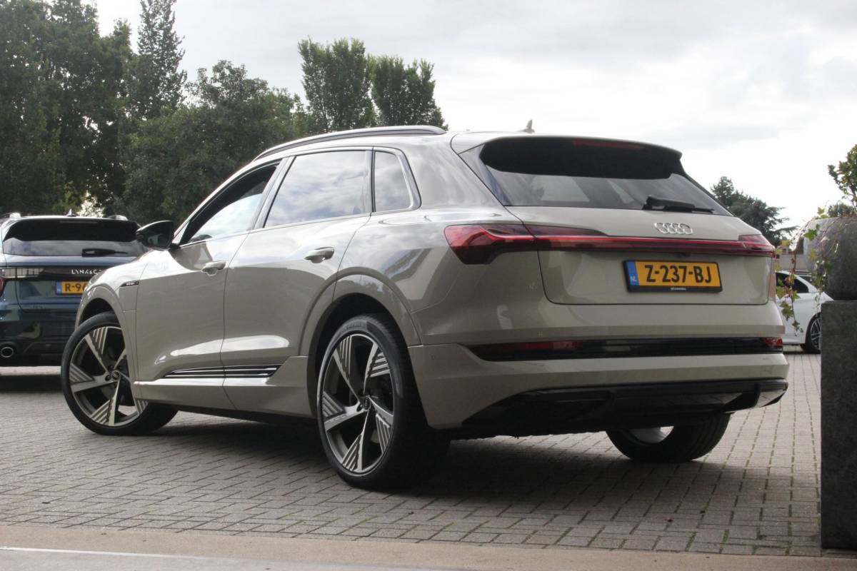 Audi e-tron Audi E-tron 50 quattro S edition S-Line | Trekhaak | Siambeige