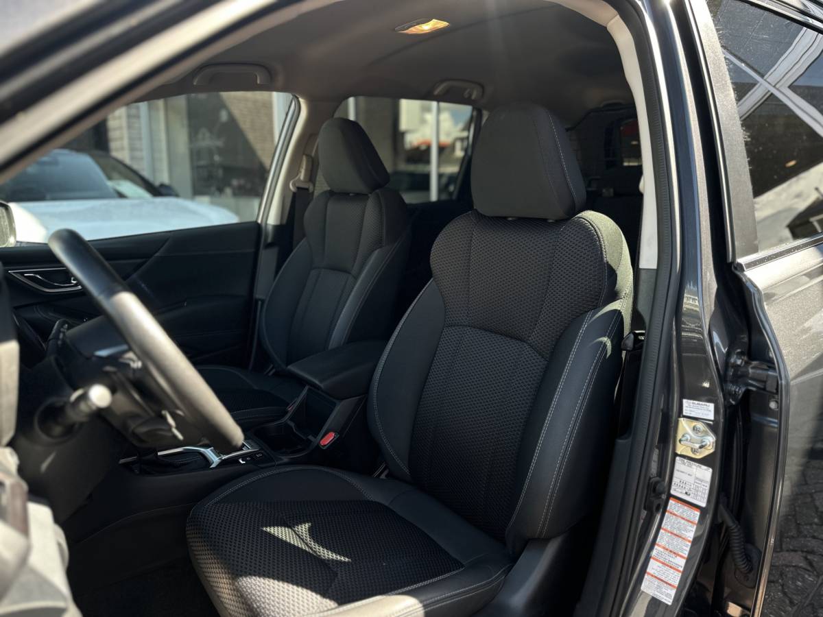 Subaru Forester Subaru Forester 2.0i e-BOXER Comfort Automaat/Trekhaak/Parkeerhulp/Navi/Camera