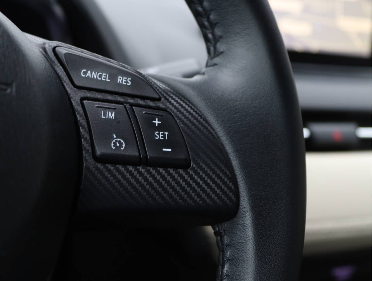 Mazda 2 Mazda 2 1.5 Skyactiv-G Skylease GT | BOVAG-garantie | Trekhaak | Camera | All-seasons