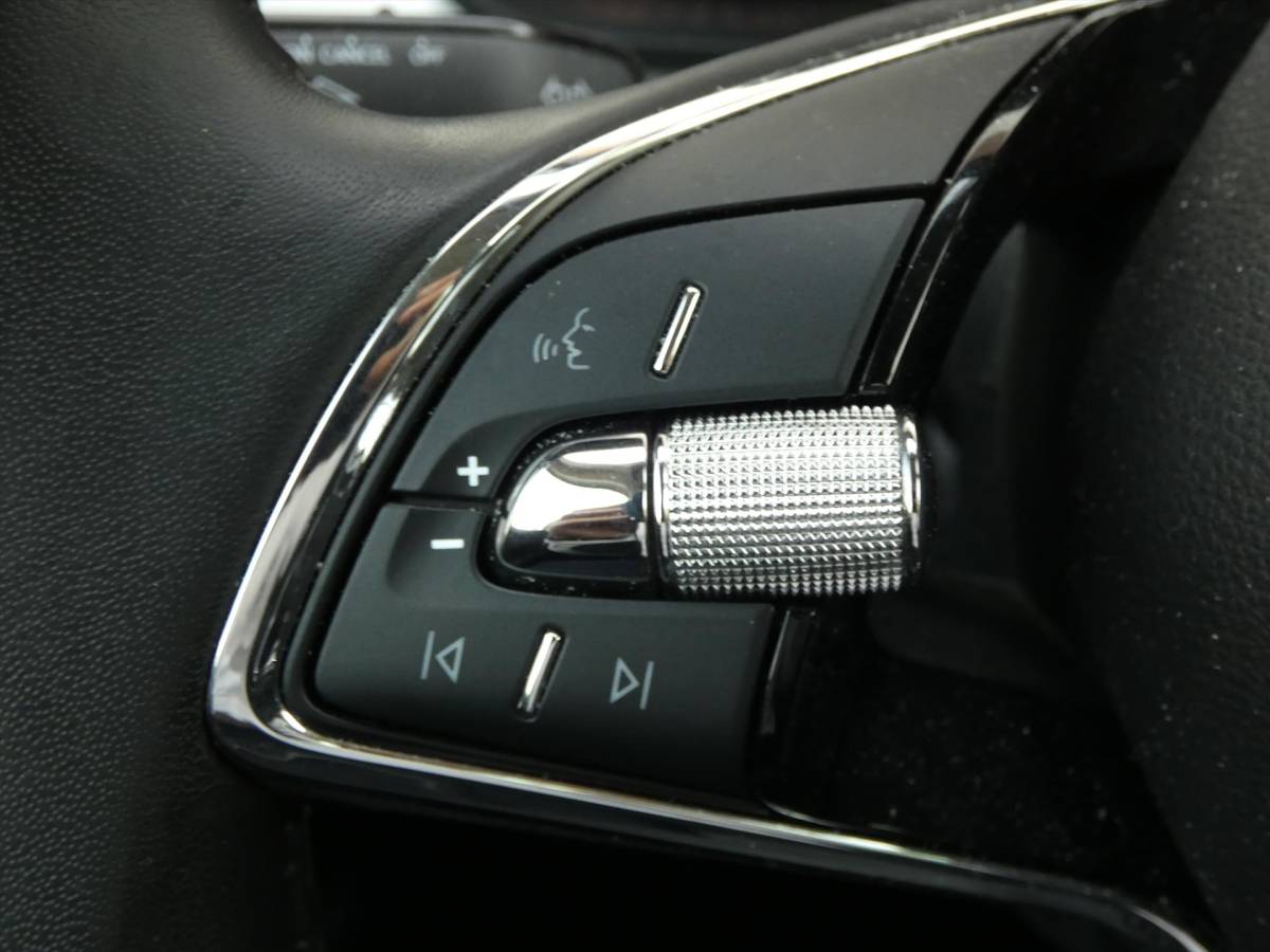 Škoda Kamiq SKODA Kamiq 1.0 TSI Greentech 110pk DSG-7 Business Edition / 39.000 KM !!!!